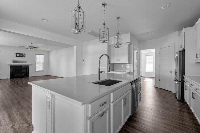 Building Photo - Exquisite 4-bedroom, 2.5-bath home located in the charming city of Chesapeake