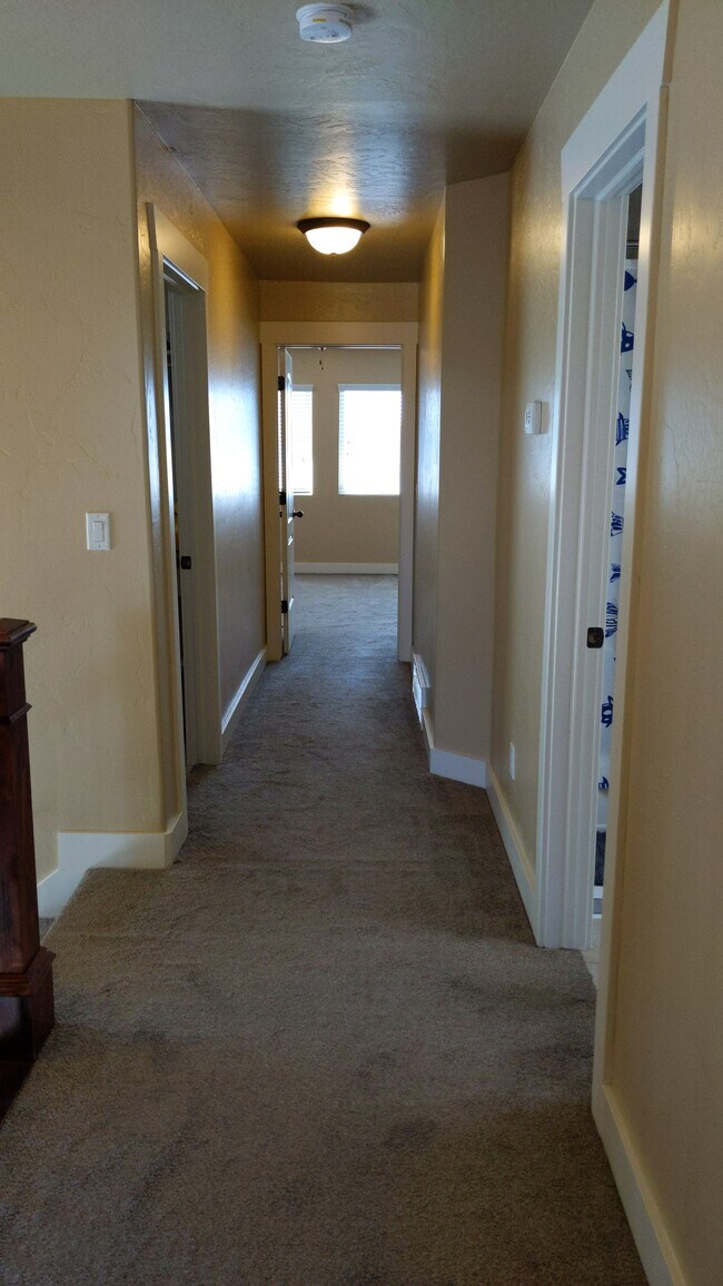 looking towards bedrooms 1 & 2 - 122 S Tamarak Cir