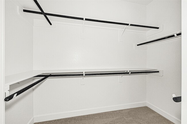 Building Photo - 19831 Palomino Pr Trl