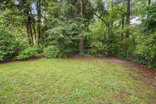 Fenced backyard - 1858 Lyle Ave