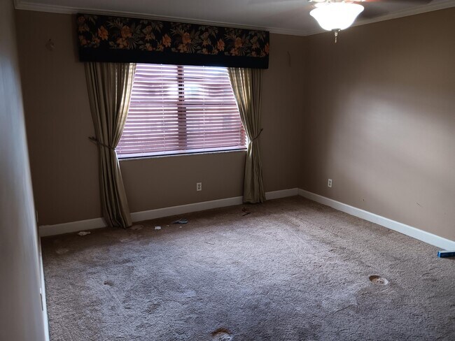 Building Photo - 2050 Oleander Blvd