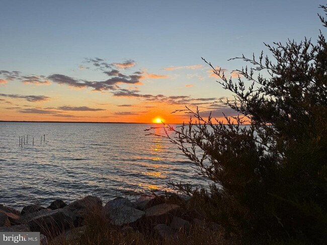 Building Photo - 16197 Thomas Rd