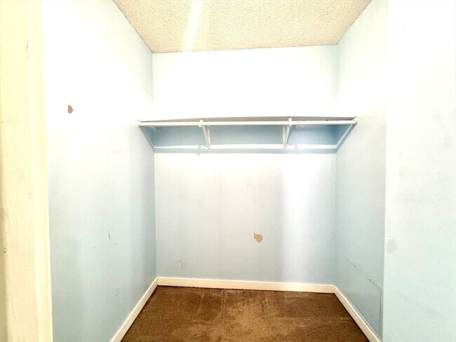 Building Photo - 147 Kelton St