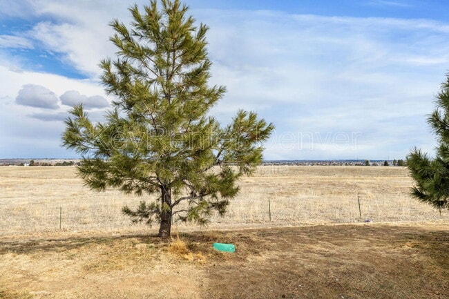 Building Photo - 9770 Mayfair St