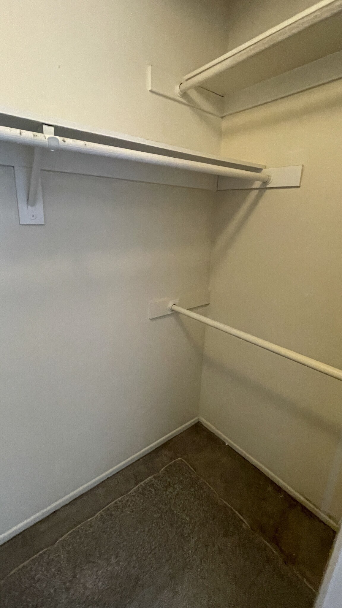 Building Photo - 707 S Webster Ave