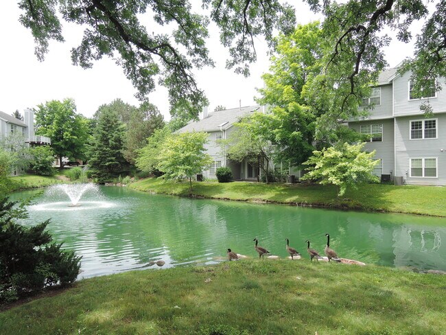 Building Photo - 4442 Hillside Dr