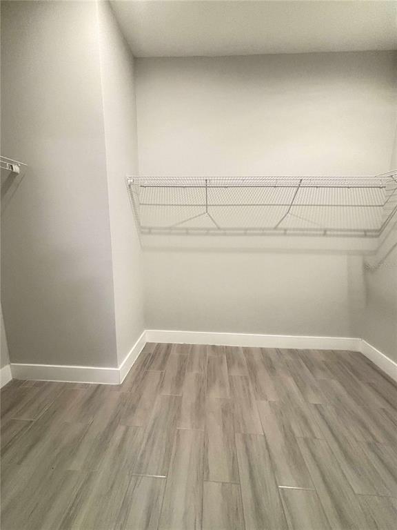 Building Photo - 17 Cleat Ct