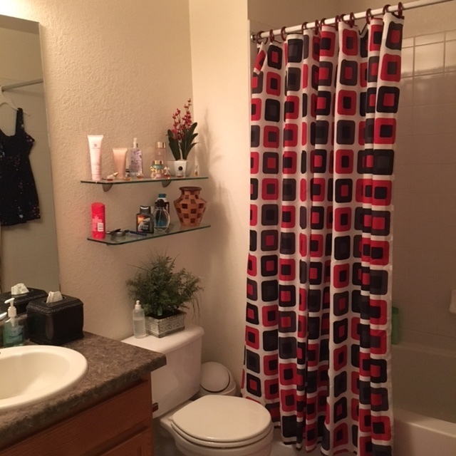 Building Photo - Wonderful 3 Bed, 2 Bath Condo in Longmont