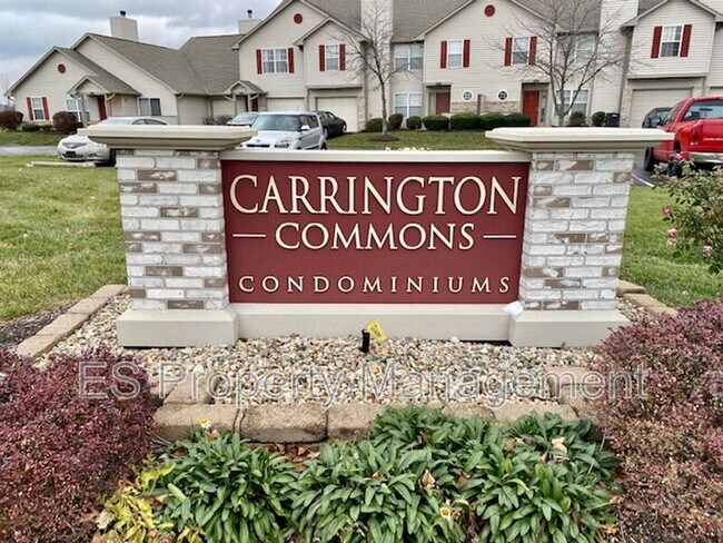 Building Photo - 6141 Wildcat Dr