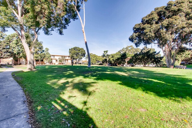 Building Photo - Fantastic 1 Bedroom Condo in Point Loma!!