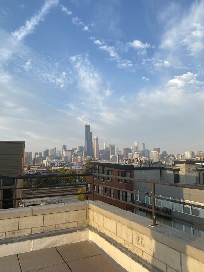 Building Photo - 1618 S Halsted St