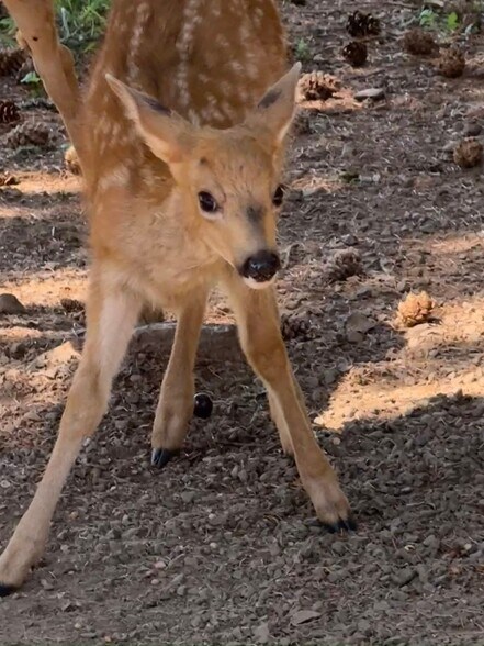 Building Photo - 22810 NE 174th St