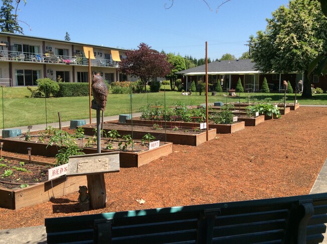 Resident Garden Plots - Willamette Lutheran Retirement Community