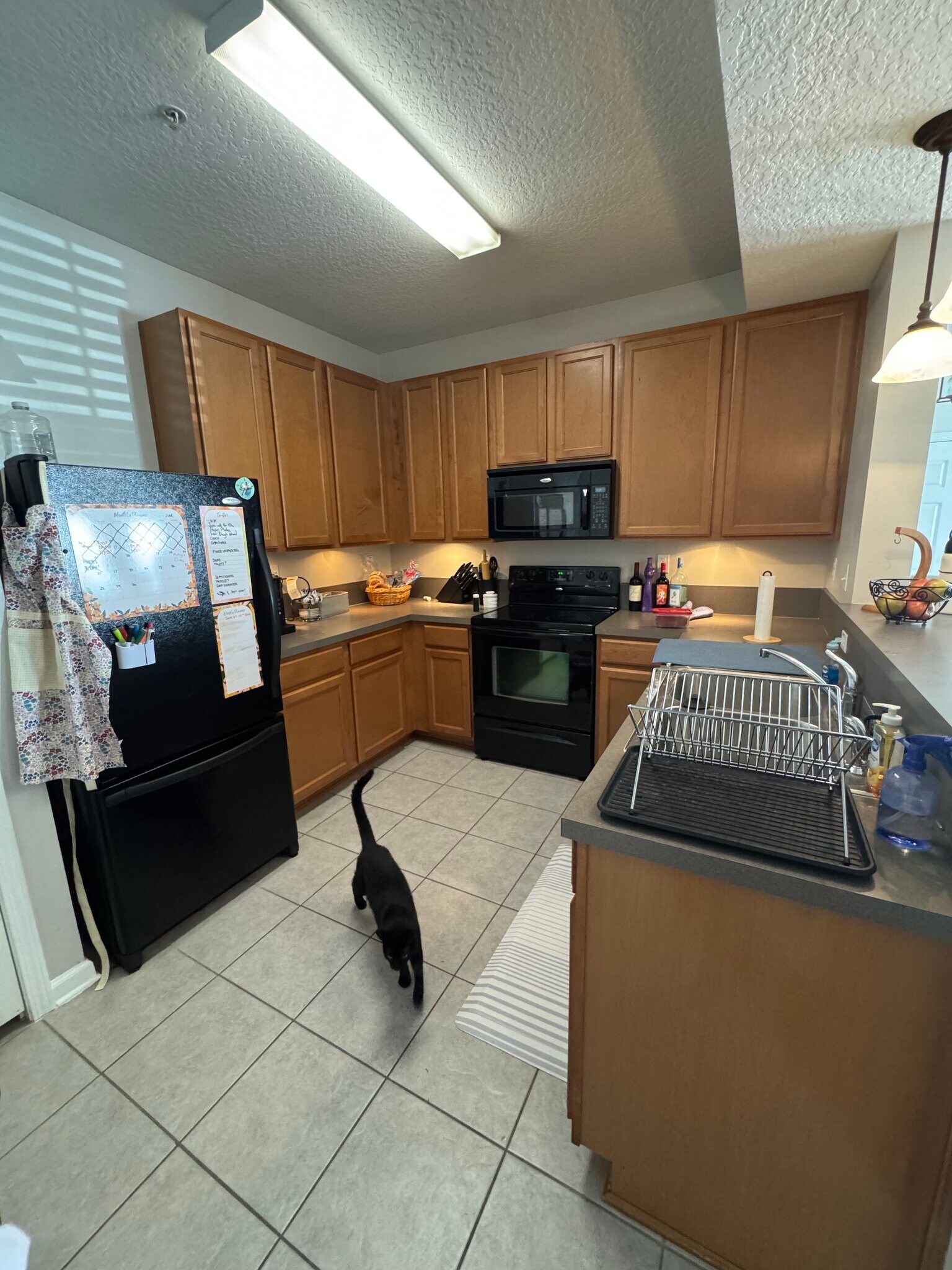 Building Photo - 575 Oakleaf Plantation Pkwy