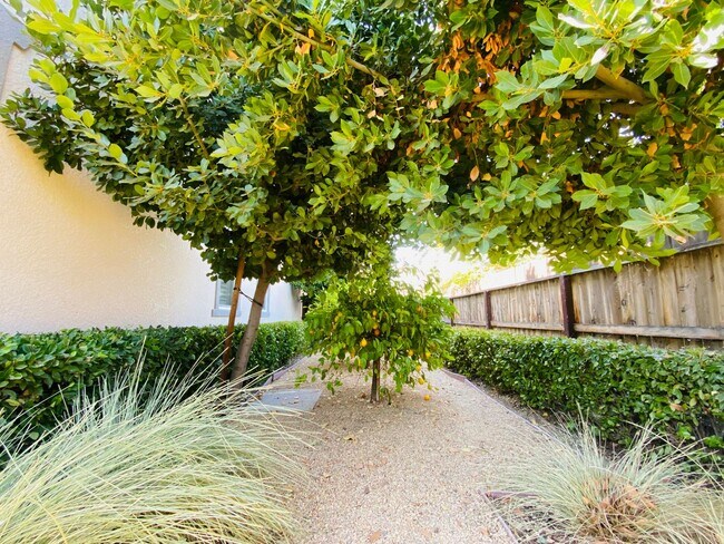 Building Photo - $2,550 Ashlan & Leonard, Beautiful 3 Bedro...