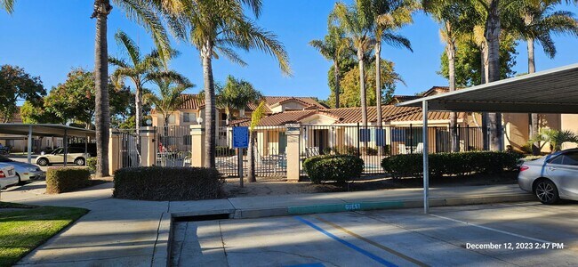 Building Photo - Downstairs Condo Located in the Gated Community of Las Palmas
