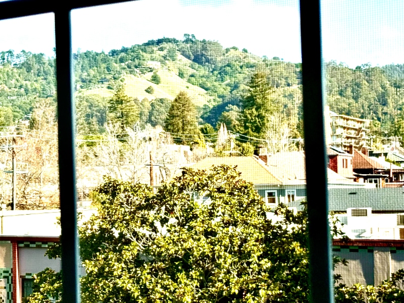 Building Photo - 2818 Telegraph Ave