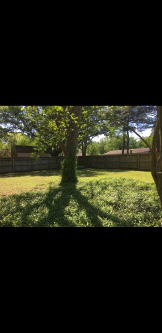 Building Photo - 3/2 Fenced yard and pet friendly LISD