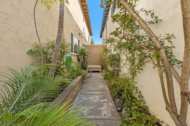 Front walk way - 2461 Geranium St