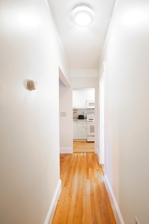 Building Photo - 451 Park Dr