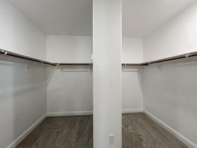 Building Photo - 5164 Havasu Dr
