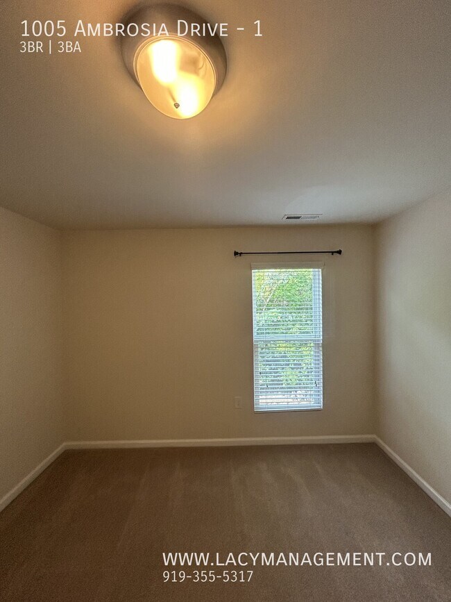 Building Photo - 1005 Ambrosia Dr