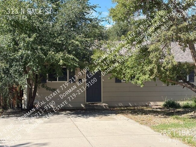 Primary Photo - 313 N Race St