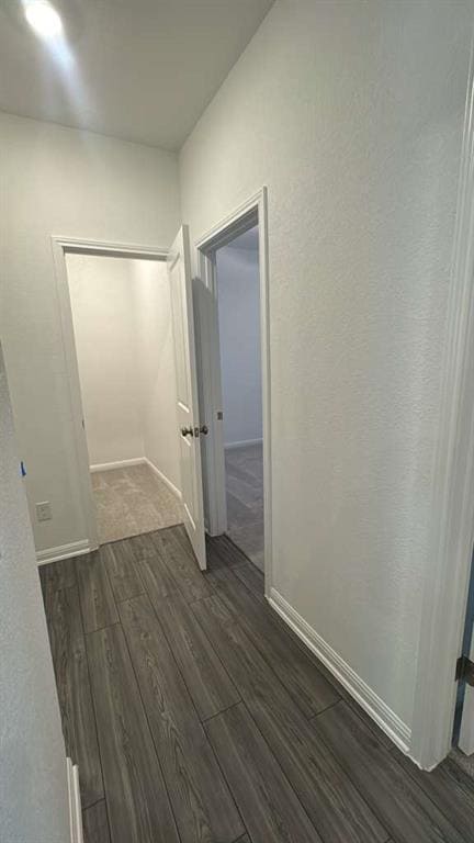 Building Photo - 444 Breccia Trl