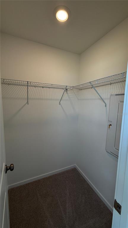 Building Photo - 837 Lynx St
