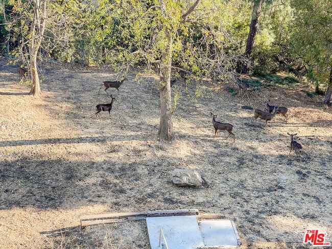 Building Photo - 3212 Wrightwood Dr