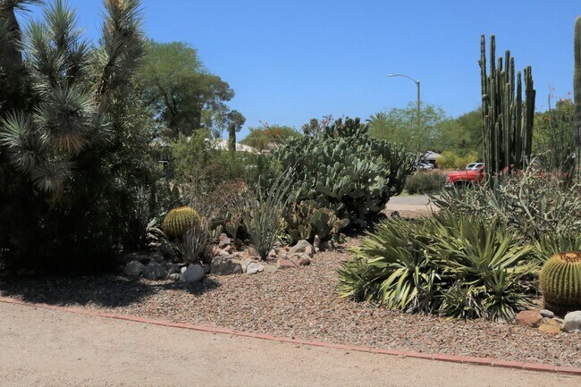 Building Photo - Two bedroom one bath fully furnished located in central Tucson!