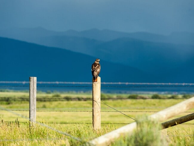 Building Photo - Modern 3-Bedroom Townhome in the Heart of ...