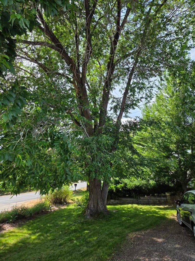 Building Photo - Adorable 2 bedroom house for rent in quiet...