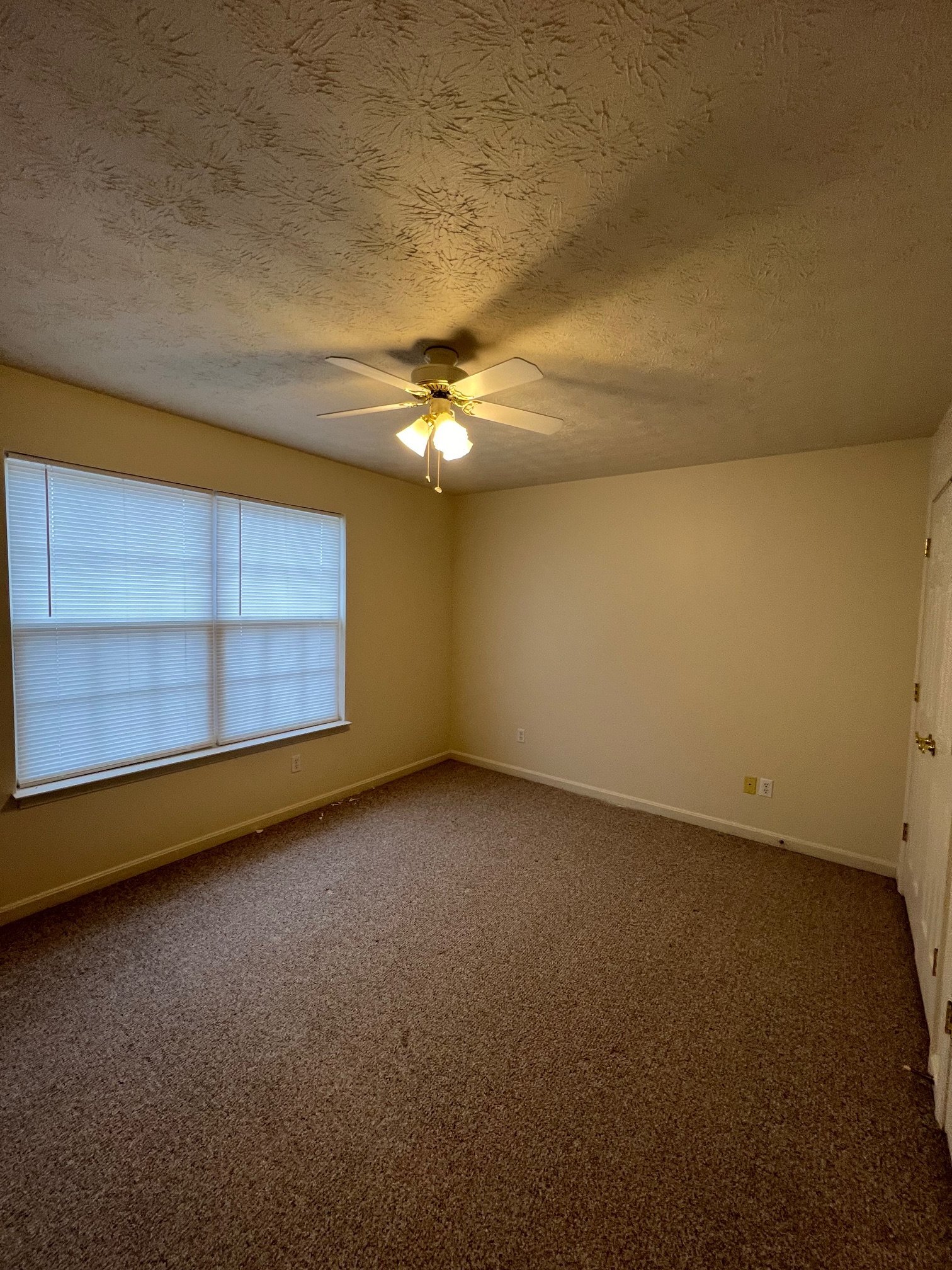 Building Photo - 58 Haven Ct