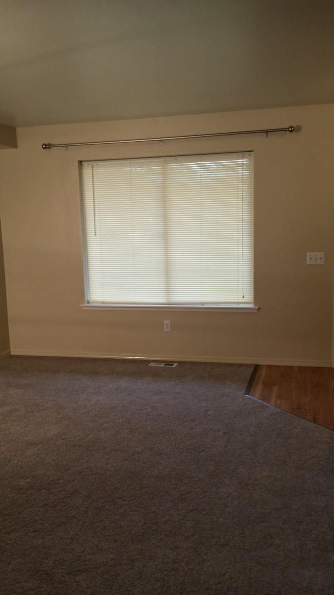 Curtain Rods and Blinds - 1211 Balfour Dr