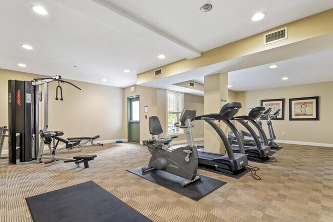 Gym access - 7 Ballister Street