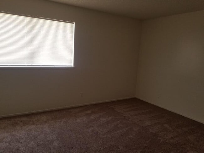 Building Photo - Single Story- 3 Bedroom!!