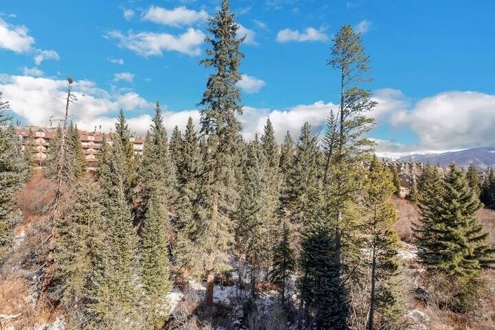 Building Photo - 10000 Ryan Gulch Rd