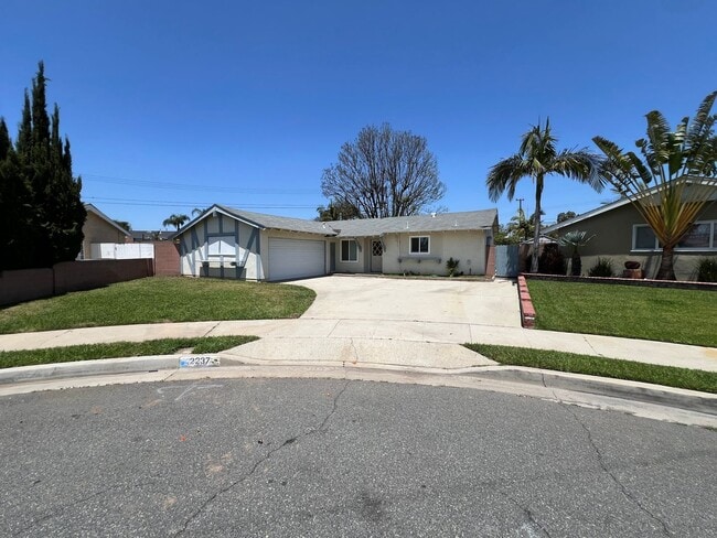 Primary Photo - Darling Updated 4 Bed 2 Bath Orange Home