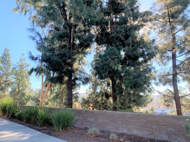 Building Photo - Amazing condo located in desirable Aliso Viejo!