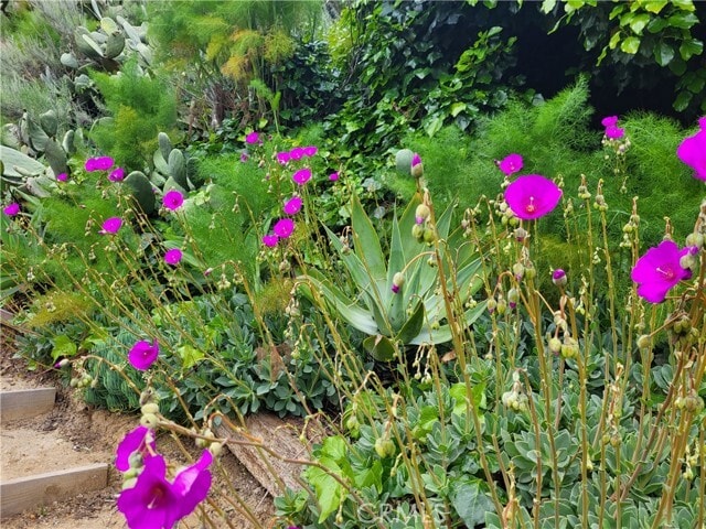 Building Photo - 925 Poli St