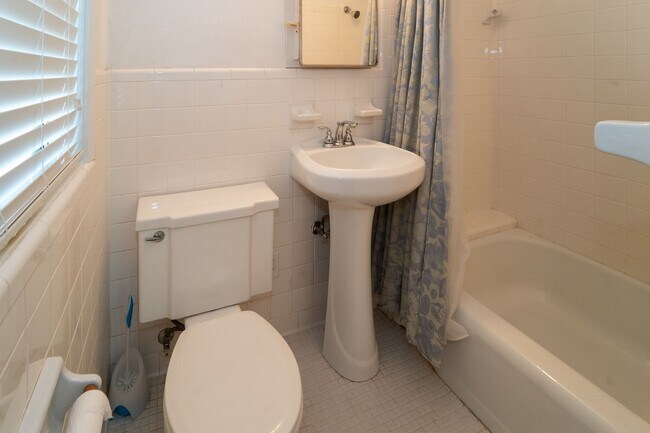 Building Photo - Davis Shores 3/2 Single Family Home