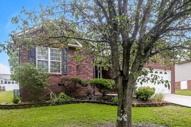 Building Photo - 1127 Piney Church Rd
