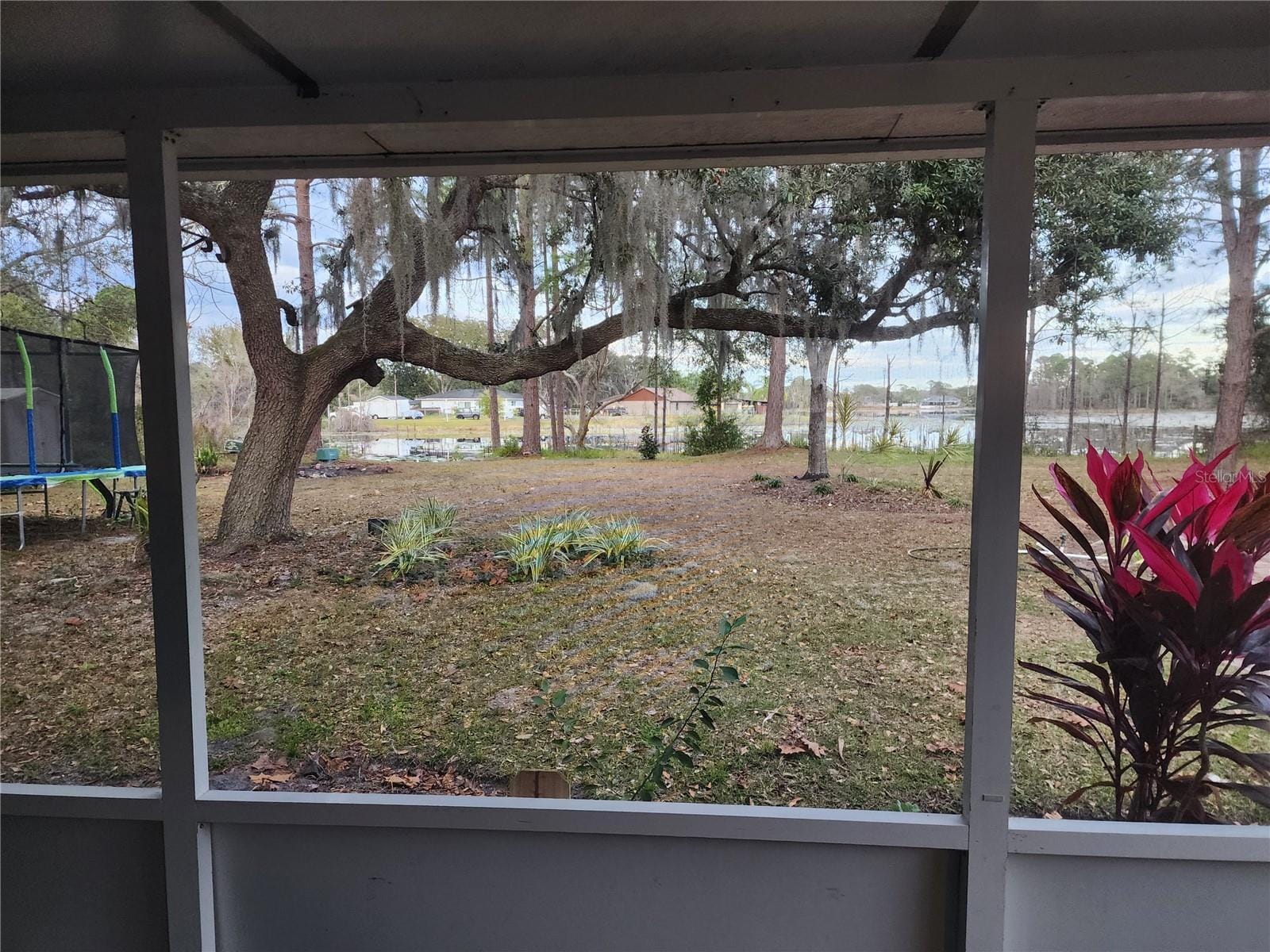 Building Photo - 2033 Quintilis Ct