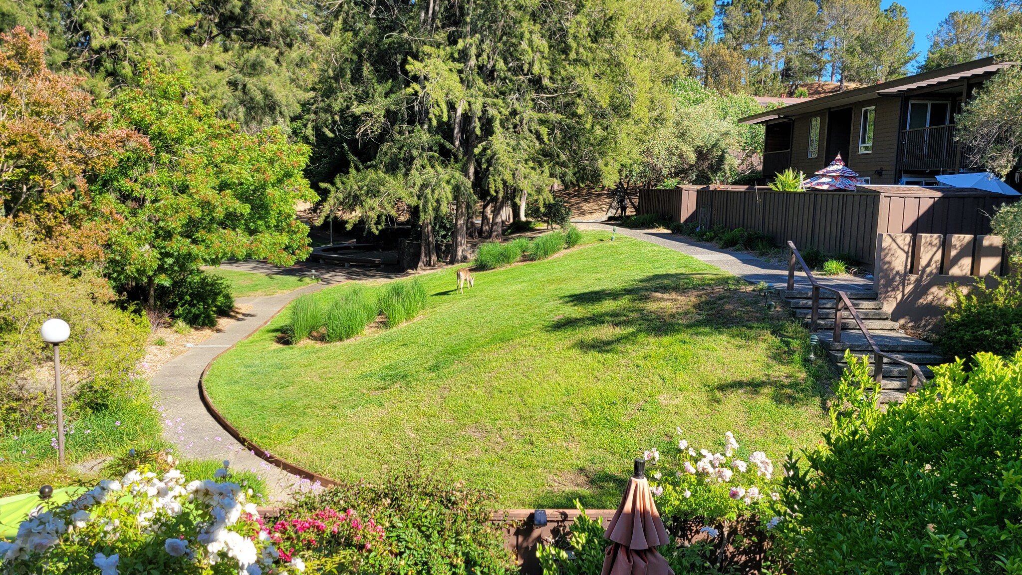 Park-like view from the balcony. Plenty of open space to walk and enjoy the complex landscape. - 72 Surrey Ln