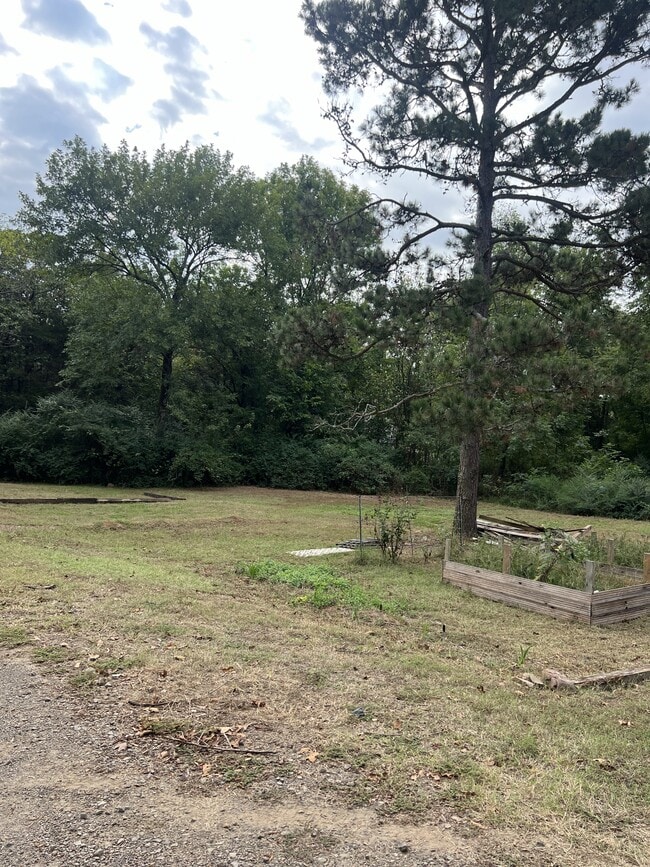 Building Photo - 539 Elm Ct