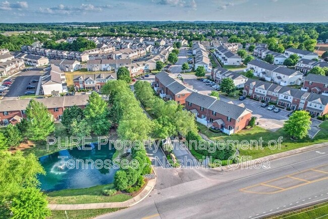 Building Photo - 2019 Blossom Run