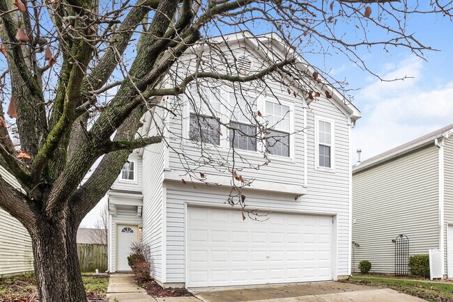 Building Photo - 1170 Freemont Ln