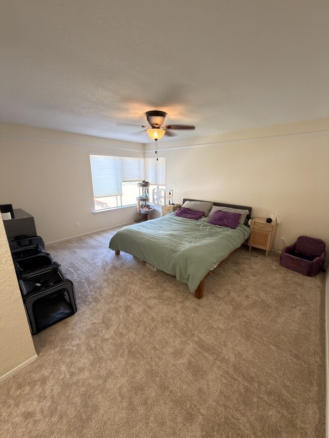 Building Photo - 9062 Stargaze Ave