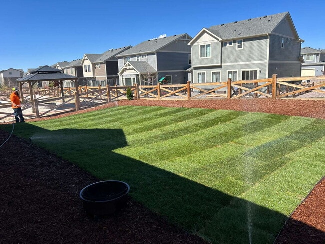 Building Photo - 5 bedroom 3 bath in Banning Lewis Ranch style home